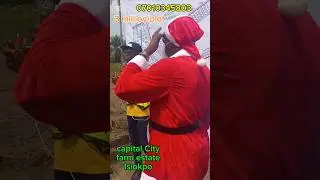 Capital City farm estate is located at Isiokpo -elele Express road.