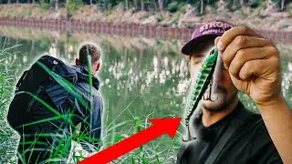 Dicke Barsche vom Ufer. Mission 45+