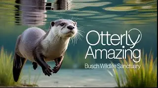 Busch Wildlife Sanctuary Full Tour-  Jupiter, Florida