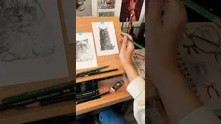 Drawing cat portraits🐈❤️#commissionedart#drawwithme#relaxing#pencilportraits#giftideas#shorts
