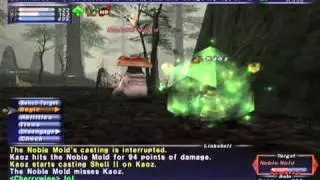 FFXI NM Saga #229: Noble Mold vs BST (Rare Spawn) [Full Battle]