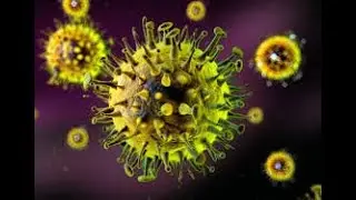 Viral replication