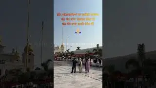 Chotte Sahibzaade #shorts #ytshorts #chottesahibzaade #gurbanikirtan #gurbanishabad #waheguru