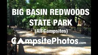 Big Basin Redwoods State Park, California