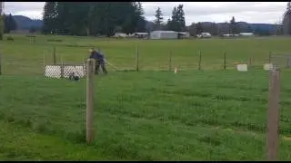 Jack AHBA HTAD III Ducks 161120 Video