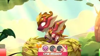 HATCHING LYSK DRAGON❗DRAGON MANIA LEGENDS 