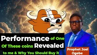 Performance of one Of These coins Revealed To Me #mumu and Why You Should Buy it