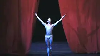 CONTEMPORARY & BALLET MALE DANCERS IX  - COFL