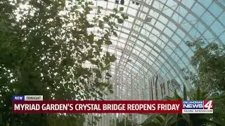 Grand Opening Crystal Bridge