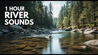 Relaxing River Sounds | 1 Hour Flowing Stream for Sleep, Study & Relaxation