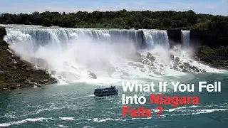 What If You Fell Into Niagara Falls ?🌊