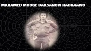 MAXAMED  MOOGE     | BAXSANOW HADRAAWO  |