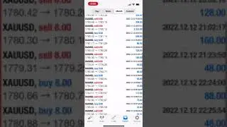 Forex EA profits $5,000