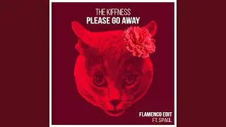 Please Go Away (Flamenco Edit)