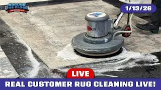 Rug Washing LIVE! #cleanwithme #carpetcleaning