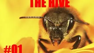 Minecraft mini games TheHIVE