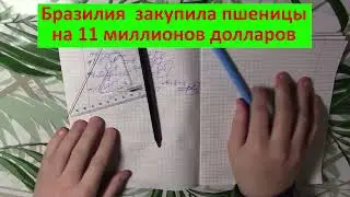 Пора решить вопрос окончательно! Мардан