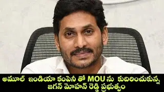 AP CM YS Jagan MOU between AP Govt and Amul India | The Report Inn