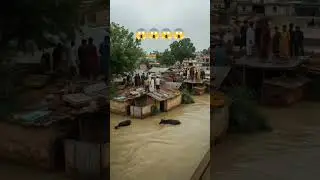 Village in Pakistan facing flood scene || #flood #shorts #floodinpakistan