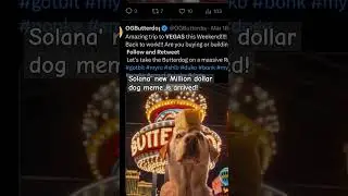 Million dollar meme coinnon Solanla #memecoin #crypto #wif #solana #gotbit #duko