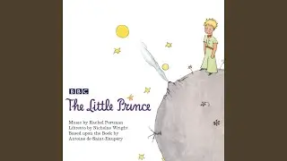 The Little Prince: The Taming