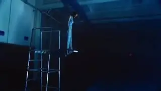 SelenaGomez & Marshmallow - Wolves (MusicVideoClips)