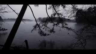 MARTINA BERTONI - Moving Nature