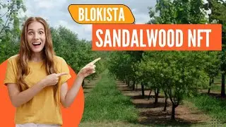 Blokista Sandalwood NFT | September | BCC