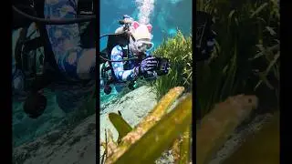 The BEST spot for new scuba divers is easily Alexander Springs in FL #scubadiving #floridasprings