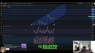 SNEK Coin: Breakout Analysis & Price Targets Revealed! #shorts