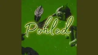 Pohled