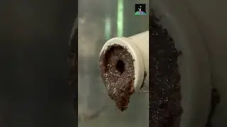 How Chocolate Is Made. #treats #chocolate #howitsmade #shorts