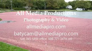 All Media Productions Streaming video promo.