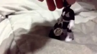 Lego Mixels: Nixel attack