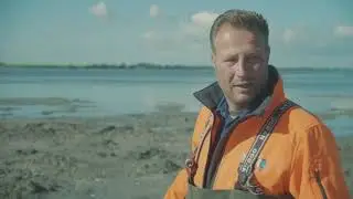 Groene impuls Grevelingen - aanleg broedeilanden
