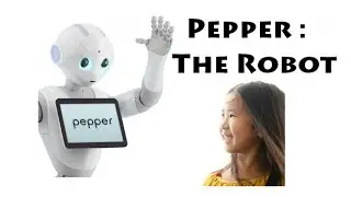 Pepper : An Interactive Robot named Pepper - Tech Innovation in Japan