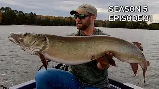 My FATTEST October Musky in Northern Wisconsin! S5.E31