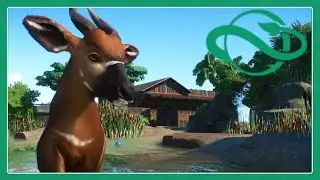 Planet Zoo: Bongo exhibit speed build!
