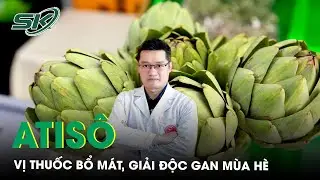 Atisô vị thuốc bổ mát, giải độc gan mùa hè | SKĐS