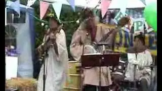 The Plonkers (5)