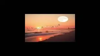 Smooth Waves - 1 Hour of Easy Listening Music
