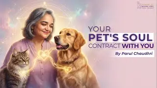 Your Pet&rsquo;s Soul Contract With You | Why They Mirror Your Stress & Emotions