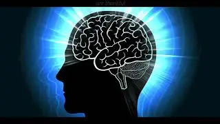 Remove Brain Fog