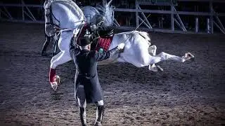 Diego Salvati , David Jimenez Romero,Sofia Bacioia , Lipica equestre