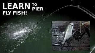 Изучите морскую рыбалку