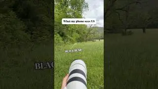 iPhone vs 600mm telephoto lens!