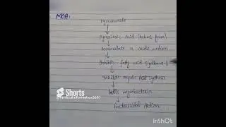 Mechanism of action (MOA) of Pyrazinamide|| Anti -TB agent ## Shorts