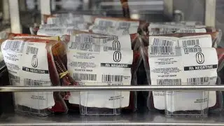 Why O Negative Blood Donation is Critical | Save Lives Close To Home at Hoxworth Blood Center