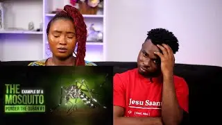 Non-Muslims Reacts To Why Allah took a Mosquito as an Example of His Existence | PONDER THE QURAN