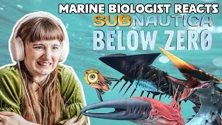 Marine Biologist Reacts to Subnautica: Below Zero Leviathans, Creatures, and Story